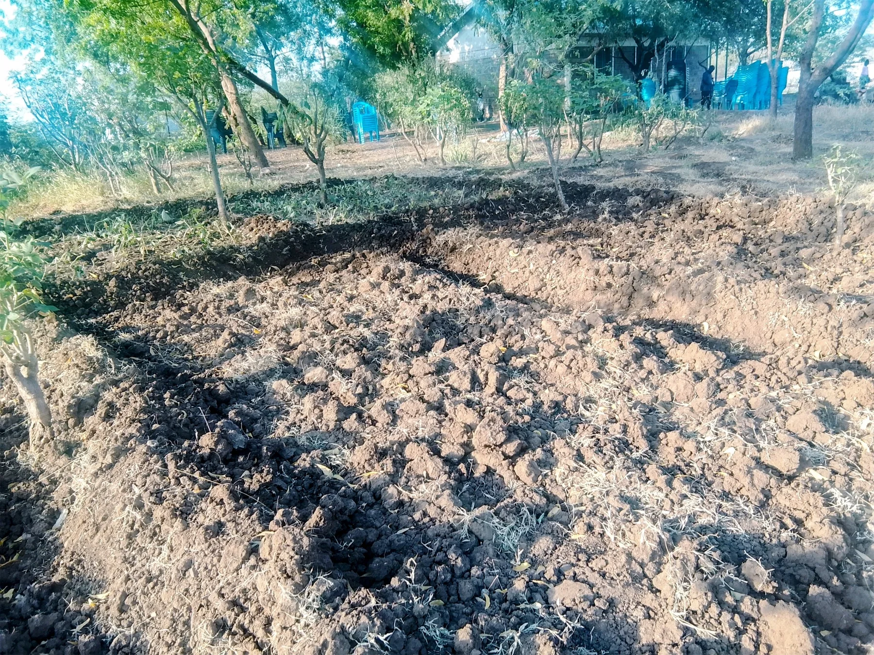 Green Project empowering youth and women through agricultural skills in Kakuma 3